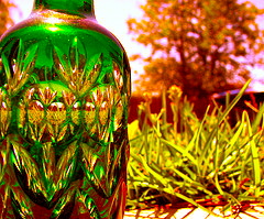 picture of a green bottle with grass and trees behind it.