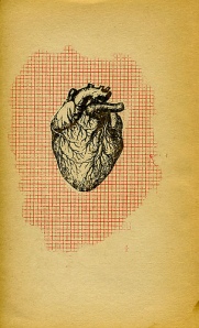 drawing of heart over red grid lines